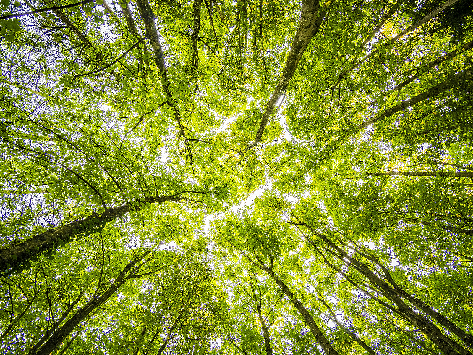 Sustainability 2