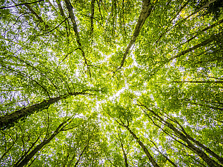 Sustainability 2